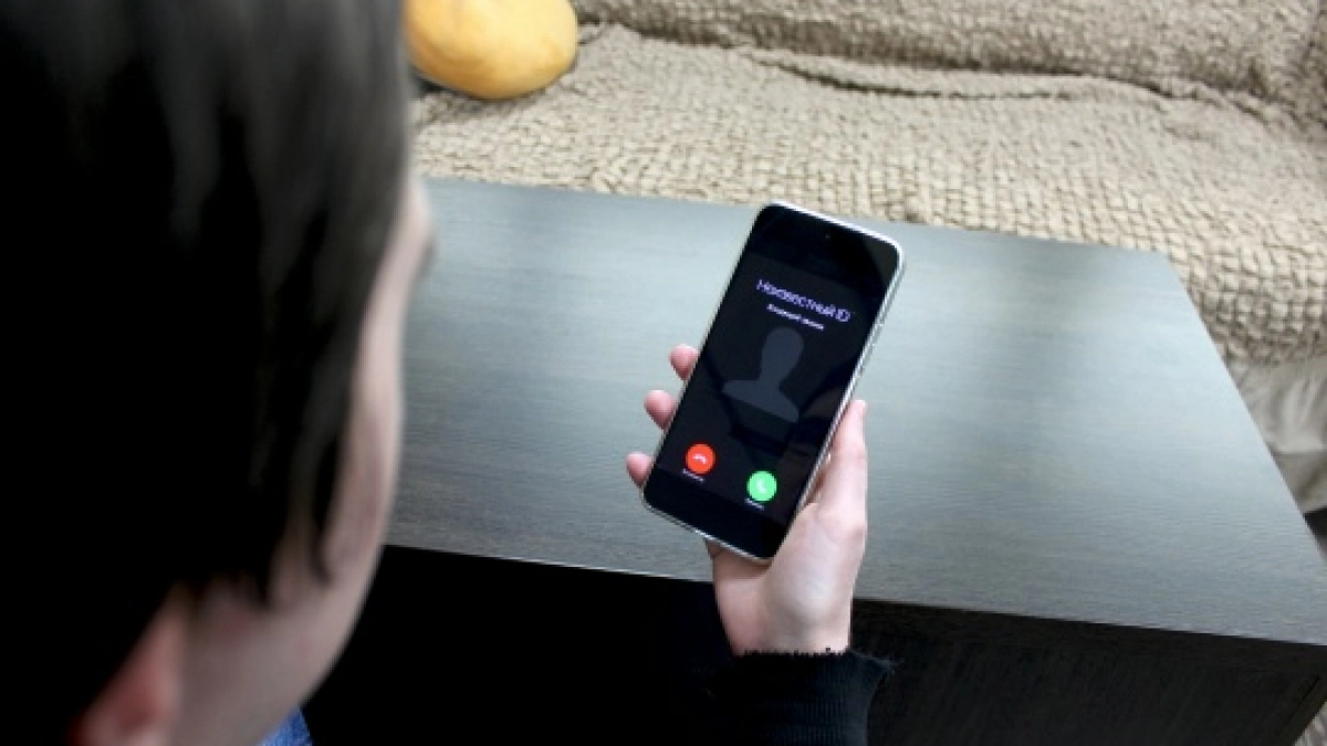 В Иркутской области свекровь и невестка лишились более 10 миллионов рублей из-за телефонных аферистов