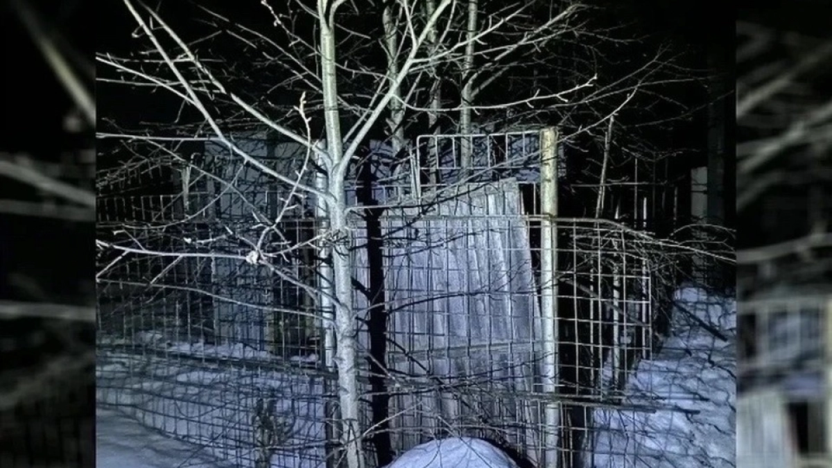 В Иркутской области школьник получил удар током при попытке залезть на будку