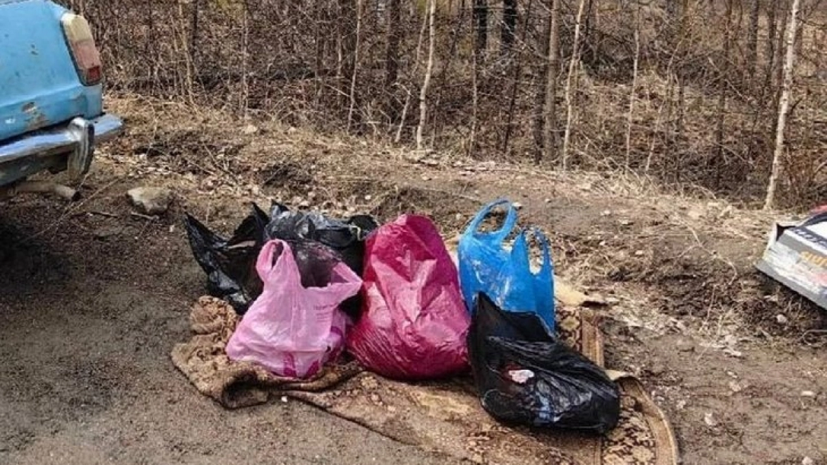 В Иркутской области браконьеры убили лося, оленя и двух самцов косули