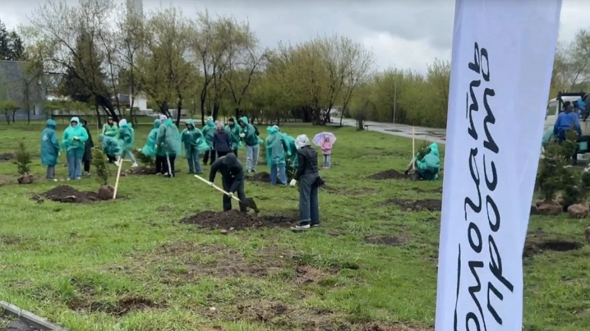 В Усолье высадили молодые сосны на озере Молодёжном