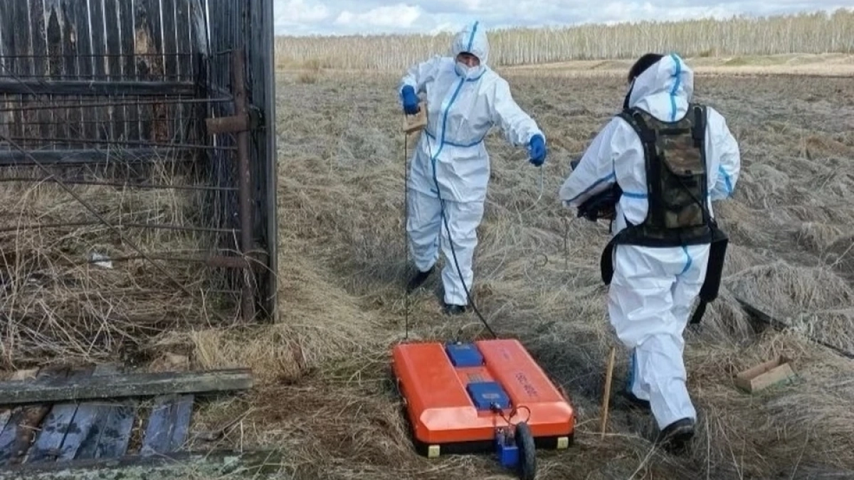 В Иркутской области специалисты проверили захоронения животных, павших от сибирской язвы