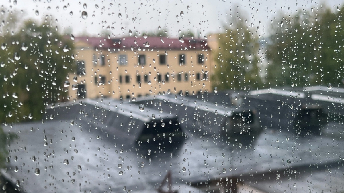 В Иркутской области 23 мая ожидаются дожди, ветер и ночные заморозки