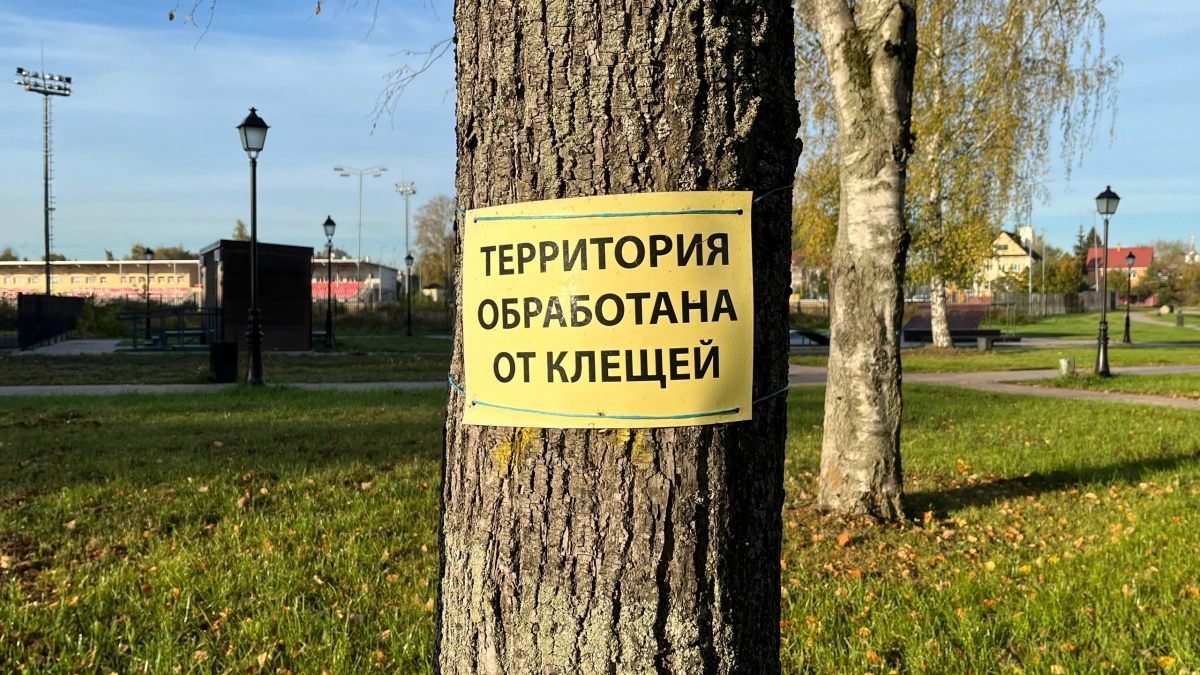 В Иркутской области клещи атаковали почти 6 тысяч человек с начала сезона