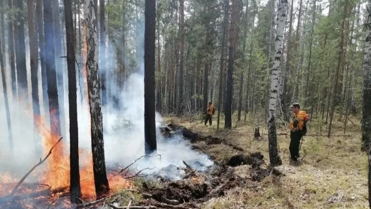 В Иркутской области за 3 дня ликвидировали 14 лесных пожаров