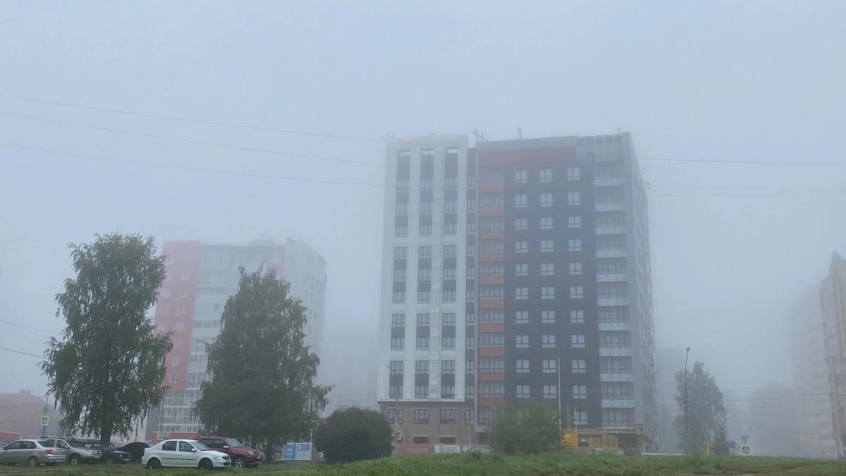 Туманы, заморозки и потепление днём: синоптики рассказали о погоде в Иркутской области 26 мая