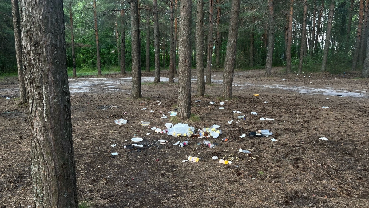 В Иркутской области суд заставил компанию очистить мусорный полигон на Ясной поляне