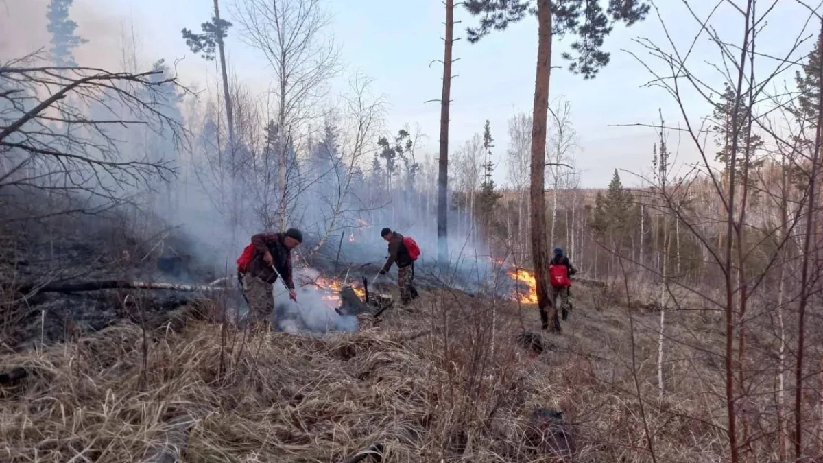 В Иркутской области за сутки ликвидировали 5 лесных пожаров