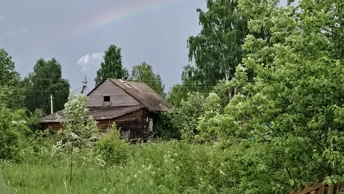 Почему жизнь проходит так быстро: это мудрое стихотворение Л.Филатова, проникающее в самую душу