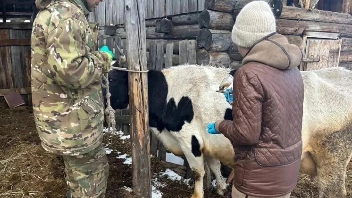 В Иркутской области получили крупную партию отечественных ветеринарных препаратов