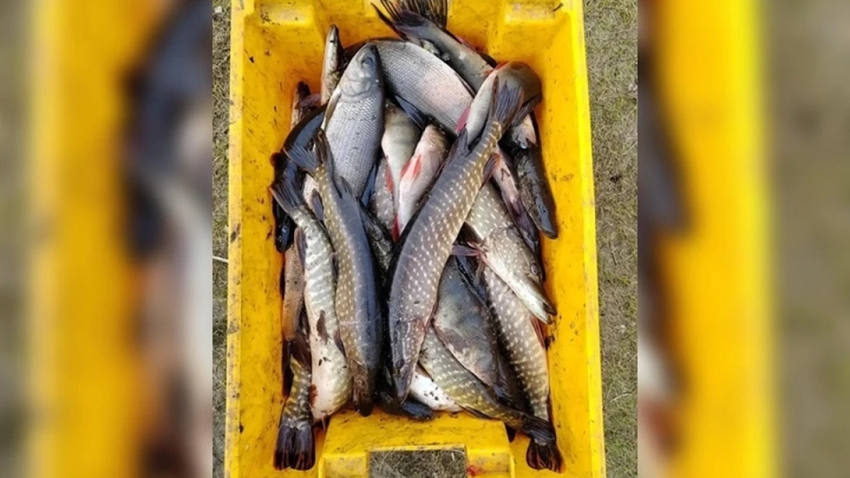 В Иркутской области рыбаки попались на незаконном вылове из Байкала