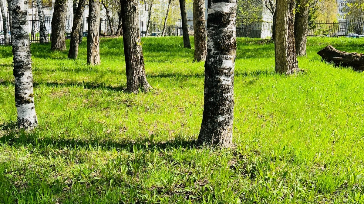 В Усолье продолжается масштабный покос городских территорий