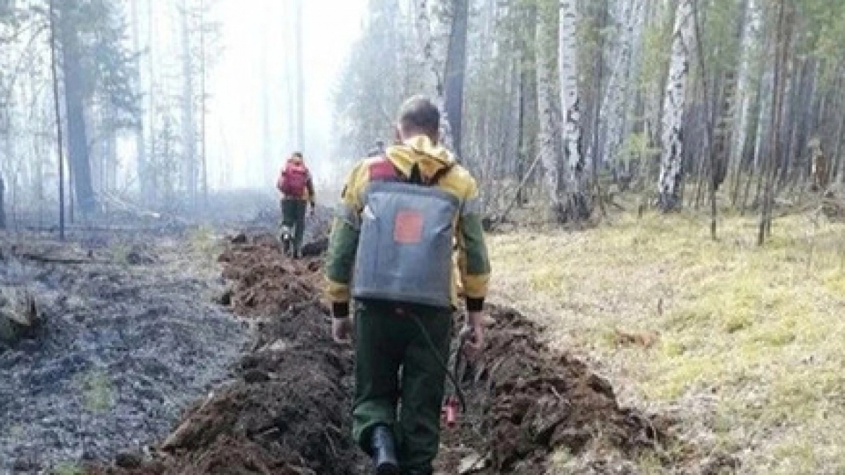 В Иркутской области потушили 6 лесных пожаров