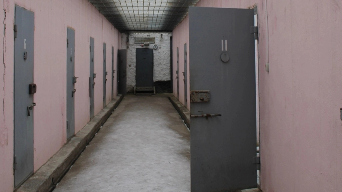 Семерых предполагаемых участников экстремистского сообщества отправили в СИЗО в Иркутской области
