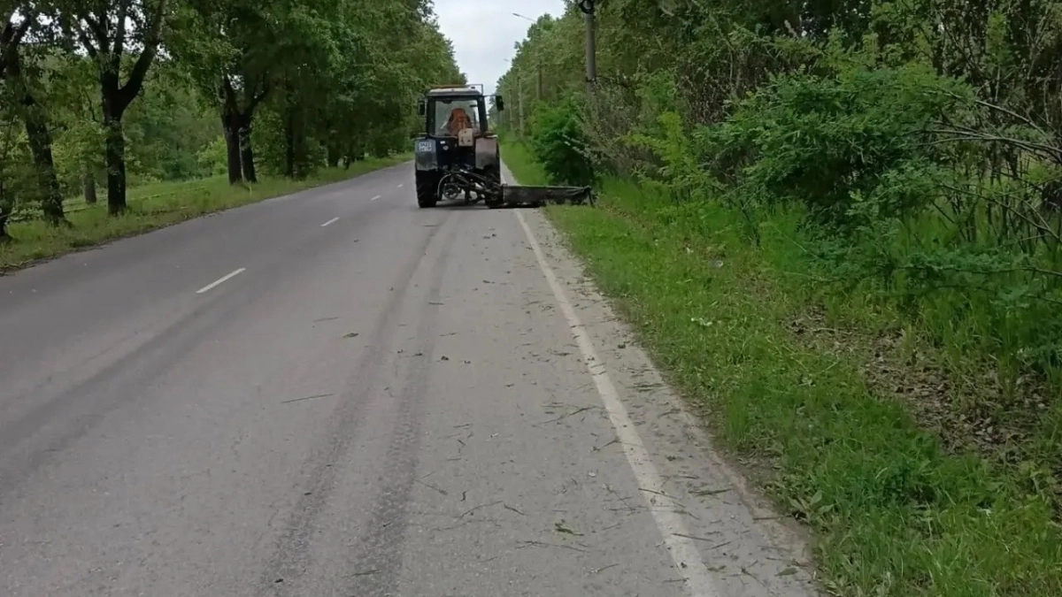 В Усолье избавляются от зарослей на главных магистралях