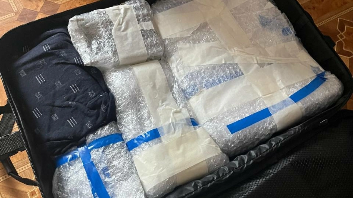 Служебные собаки помогли иркутским таможенникам выявить 328 нарушений