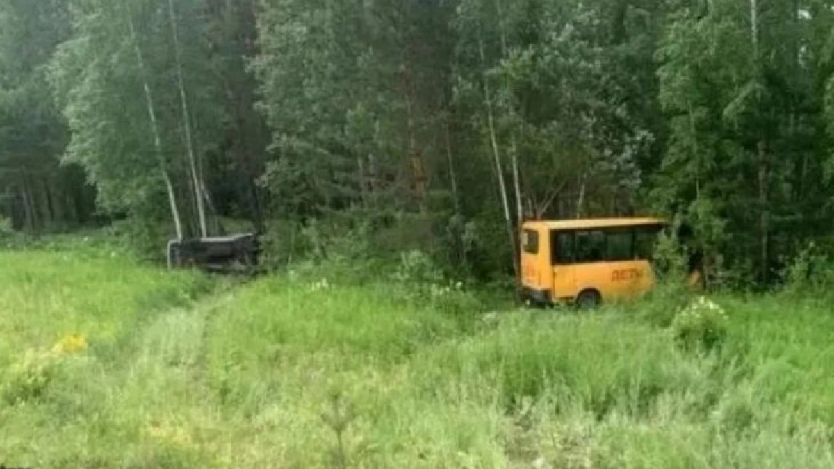 В Иркутской области 6 человек пострадали в ДТП с автобусом на трассе, включая троих детей
