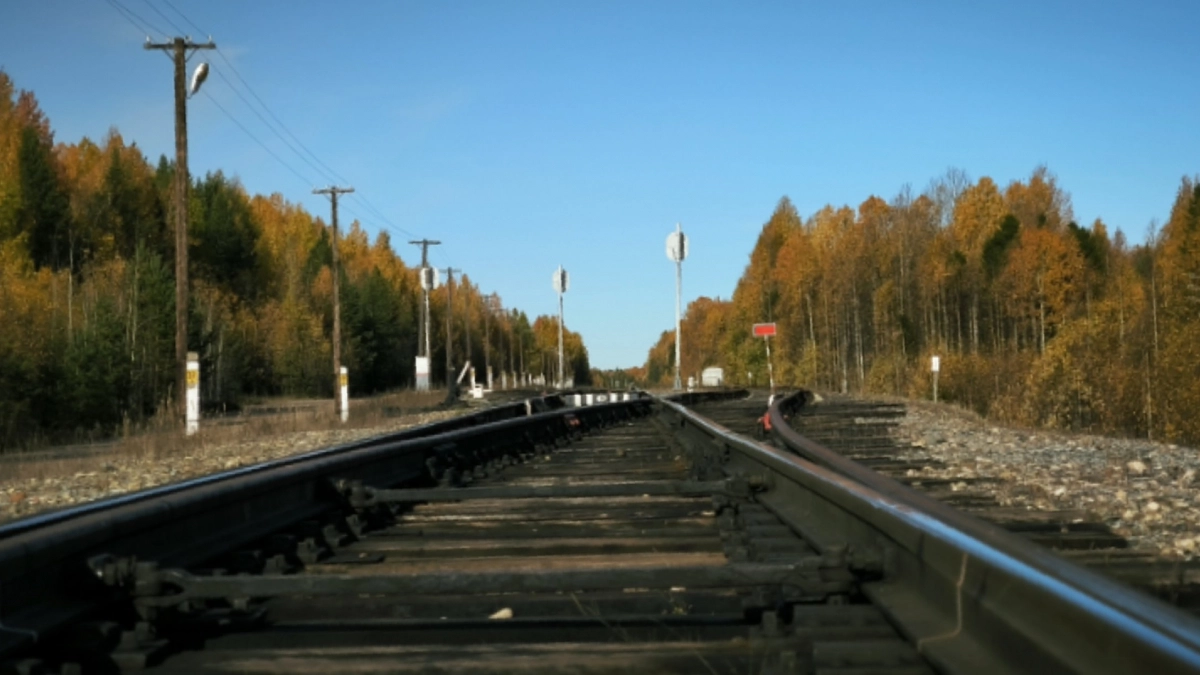 В Усолье-Сибирском чествовали ветеранов БАМа на семейном празднике