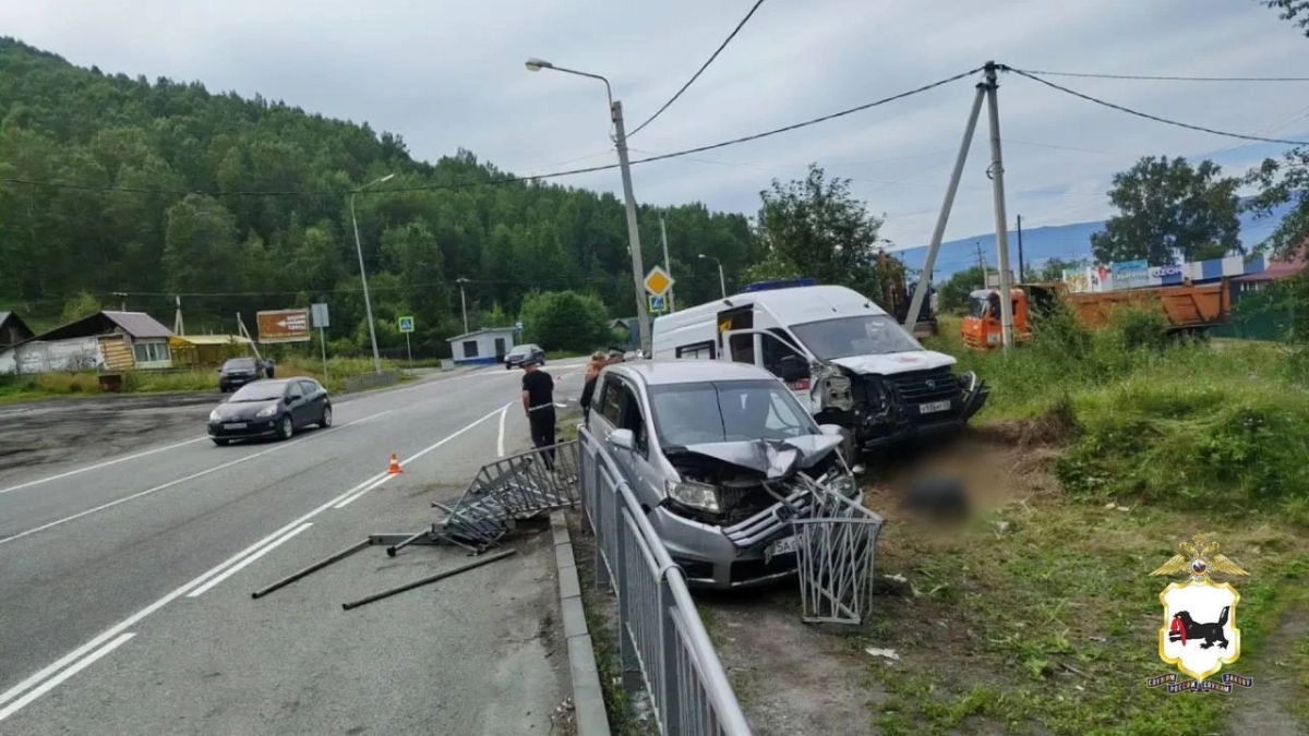 В Иркутской области скорая помощь вылетела на обочину и насмерть сбила пешехода
