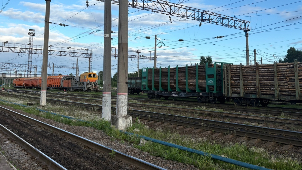 В Усолье и районе с начала года на железной дороге случилось четыре несчастных случая