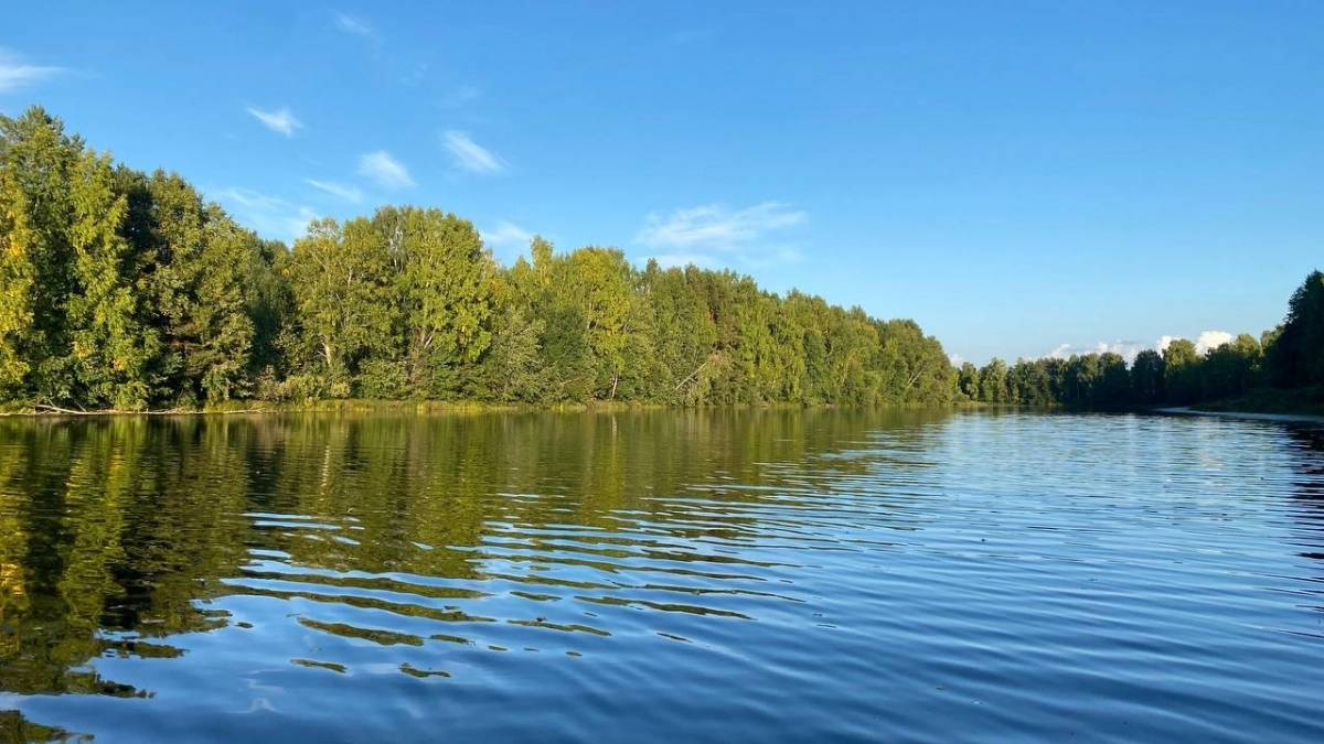 В водохранилище Иркутской области выпустили более 750 тысяч мальков