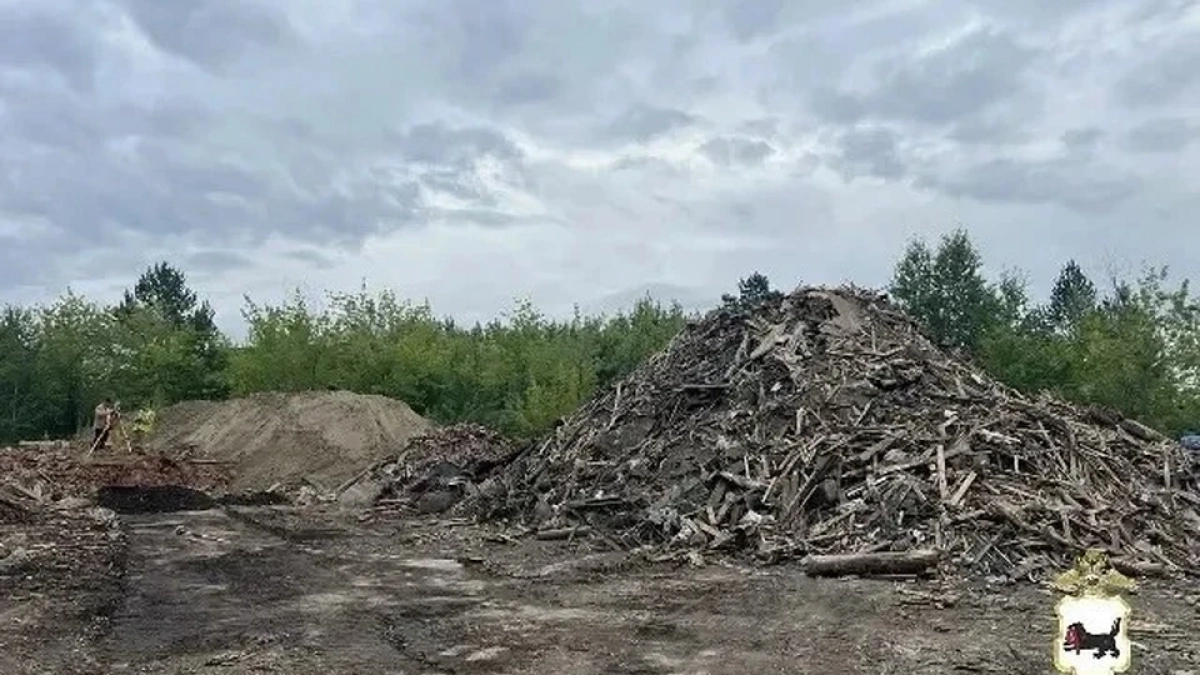 В Иркутской области директор фирмы сбросила мусор на своей земле вместо вывоза по контракту