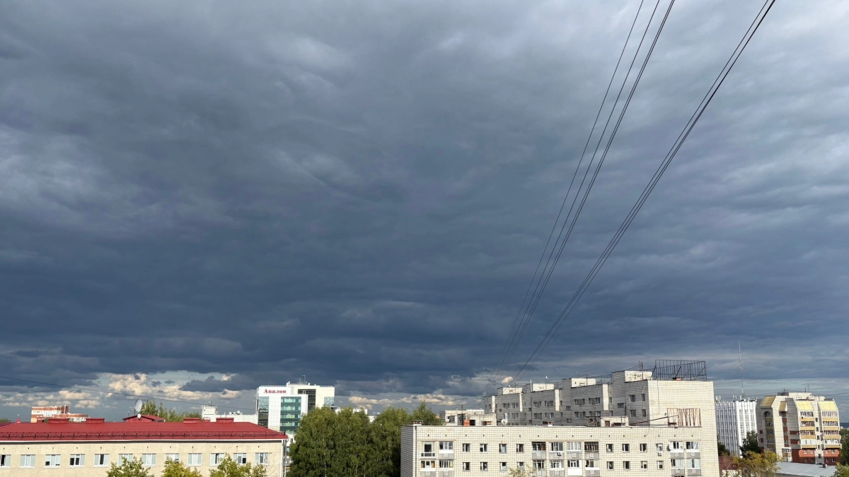 В Иркутской области ожидаются дожди и туманы: прогноз погоды на 24 августа