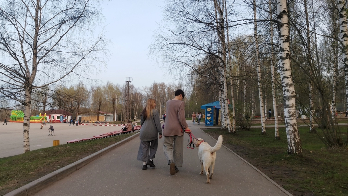 После 60 старые правила больше не работают: 9 привычек умных людей, которые дают силы и радость жизни