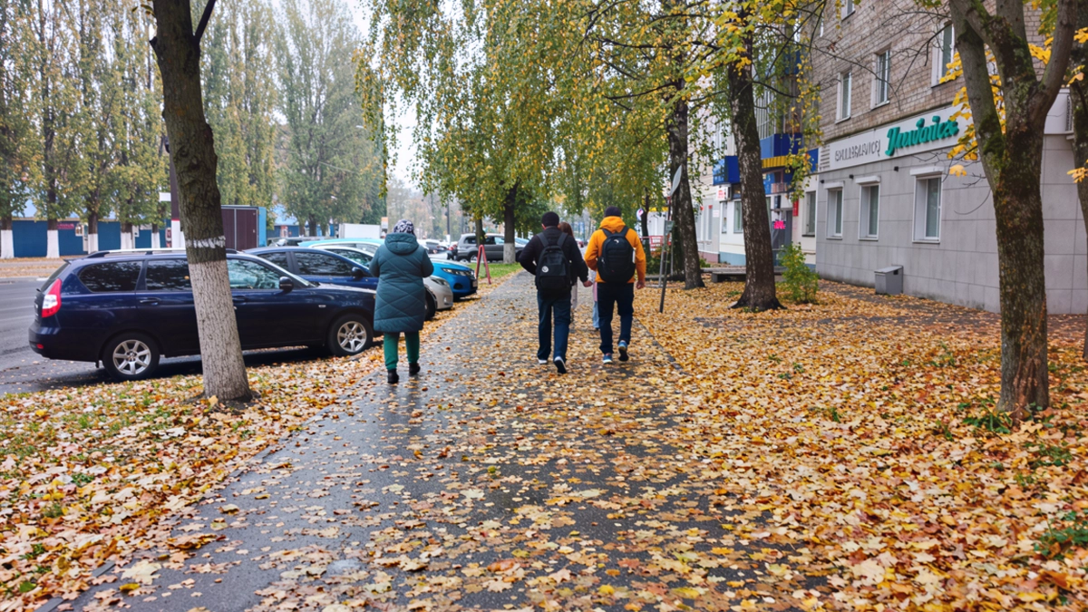 Никогда не говорите эту фразу всерьез: Шопенгауэр объяснил, почему эта привычка крадёт счастье