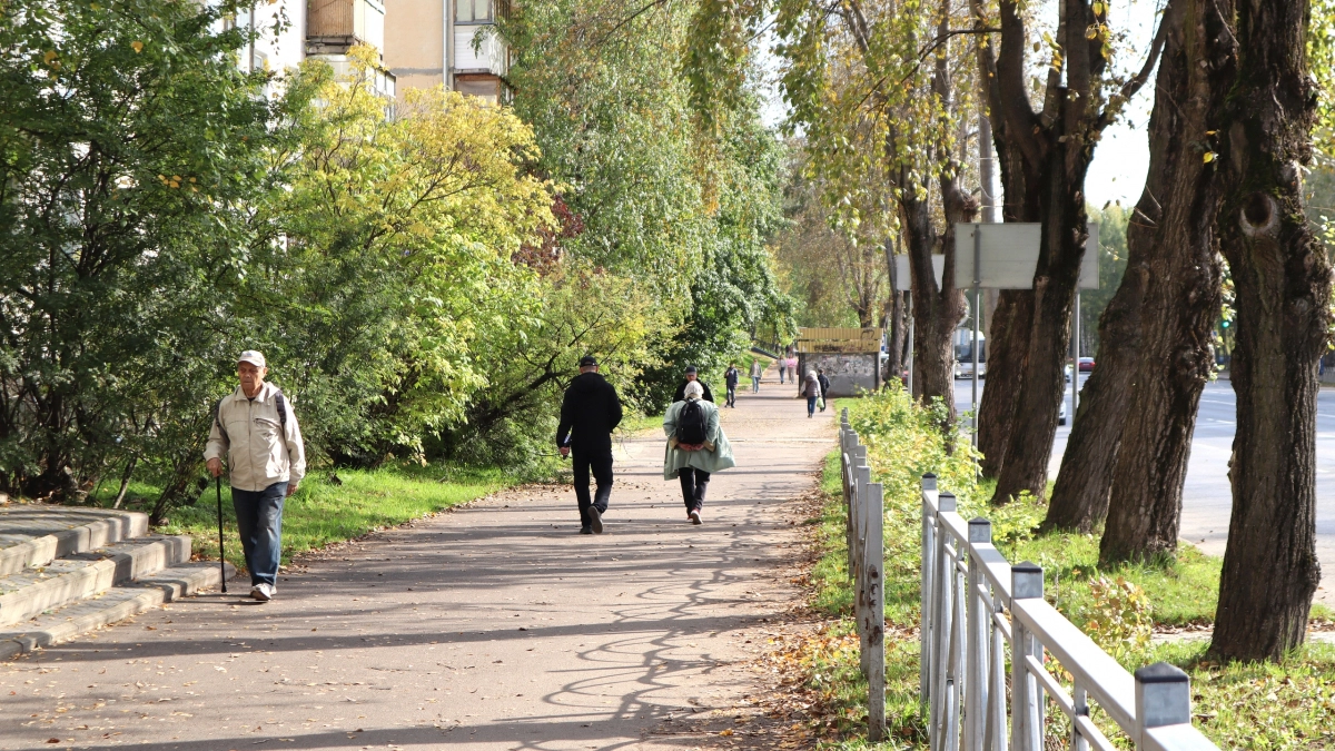 Жизнь не должна быть лёгкой: Иван Гончаров объяснил, почему человек без испытаний становится «тепличным растением»