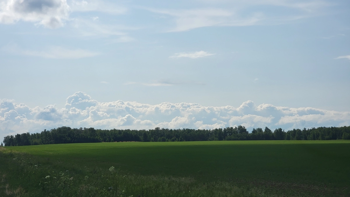 В Иркутской области опробовали “правило двух ключей” для перевода сельхозземель