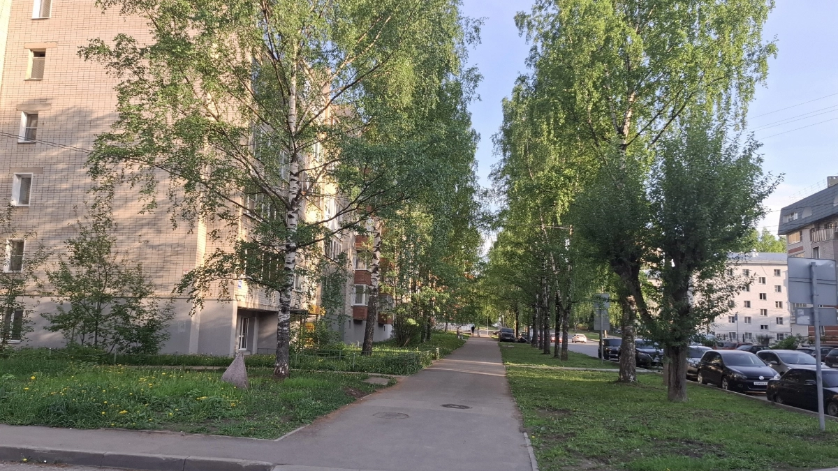 На Комсомольском проспекте Усолья-Сибирского высадили ещё сто деревьев