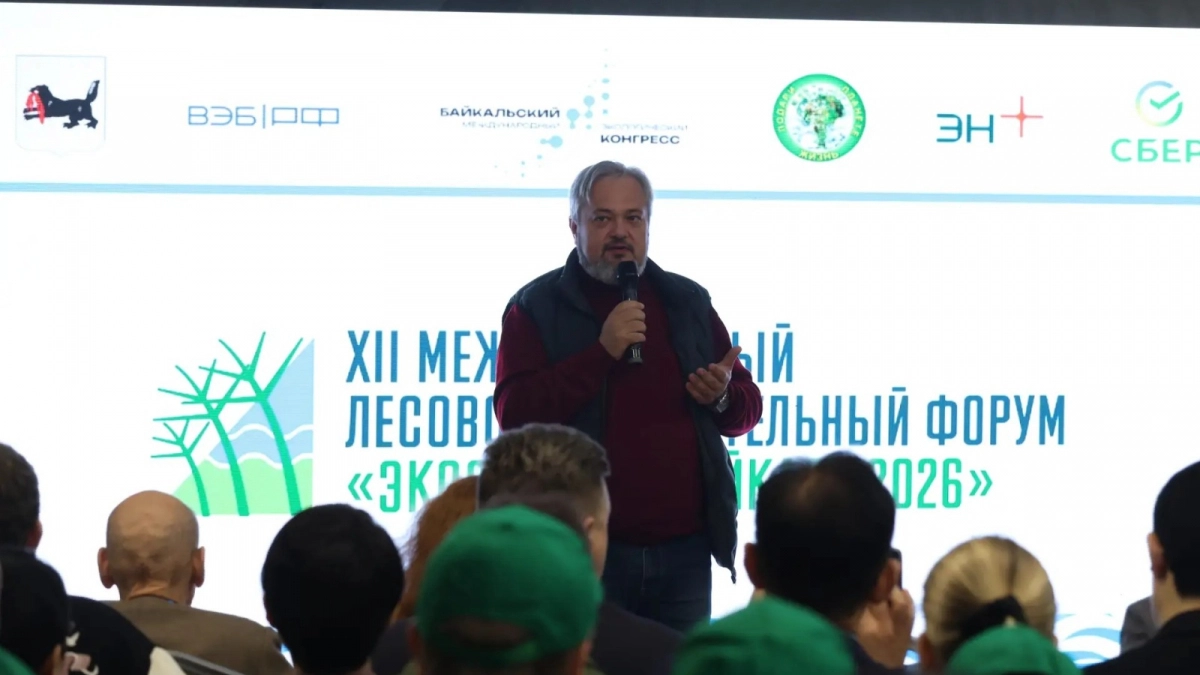 Участники форума в Иркутской области высадили около 4000 сосен