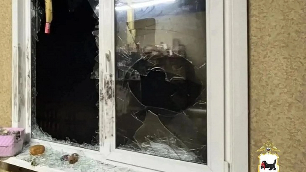 В Иркутской области четверо местных жителей устроили ночной погром из-за свиньи
