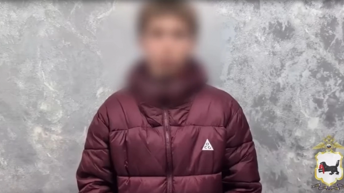 В Иркутской области подросток наказан за разорванный на видео паспорт