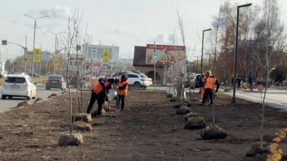 В Усолье-Сибирском на Комсомольском проспекте высадили 300 молодых деревьев