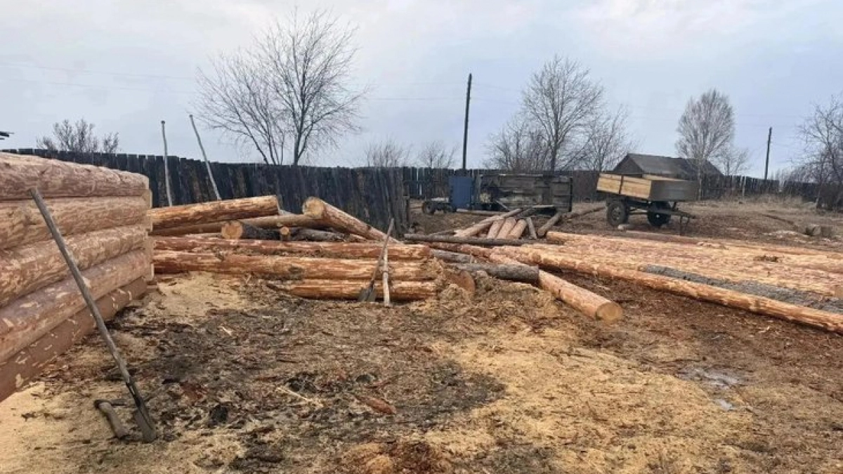 В Иркутской области лесоруба наказали за добычу 28 деревьев