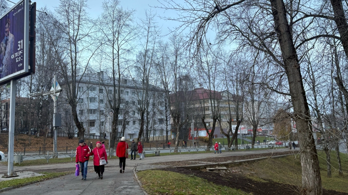 Не кроссворды и не заучивание стихов: что помогает сохранить ясный ум после 70 лет — запомните эту мудрость