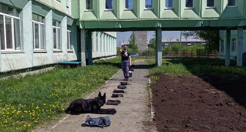 В Иркутской области кинологи штурмуют пьедестал