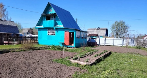 Посыпала на грядку до 25 июня — и луковую муху как ветром сдуло: на луке ни одного желтого перышка не появится за сезон