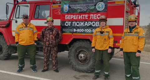 В Иркутской области штрафы за лесные нарушения достигли 175 тысяч