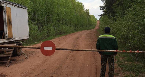 Иркутская область запрещает походы в лес