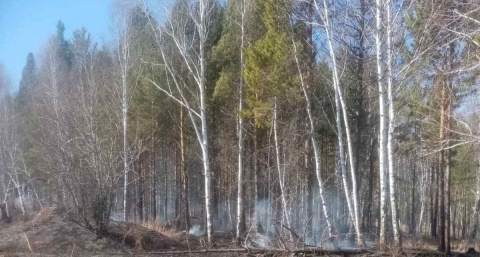 Иркутские леса сражаются с огнём